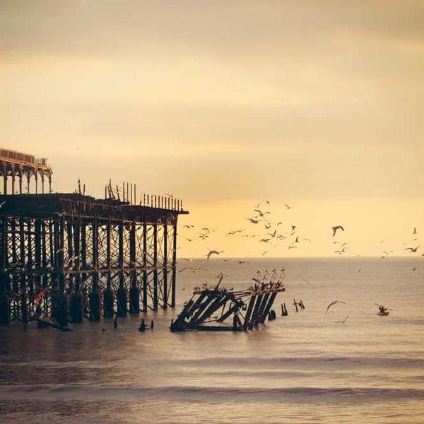 Adidas Track Pants - Image 2