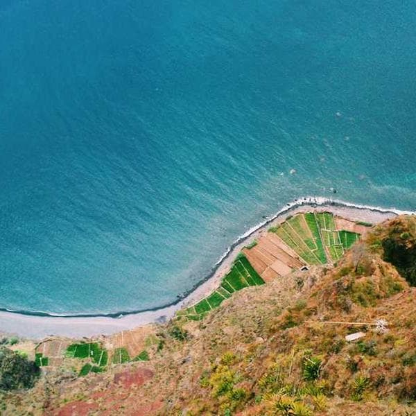 Carhartt WIP Work Jacket