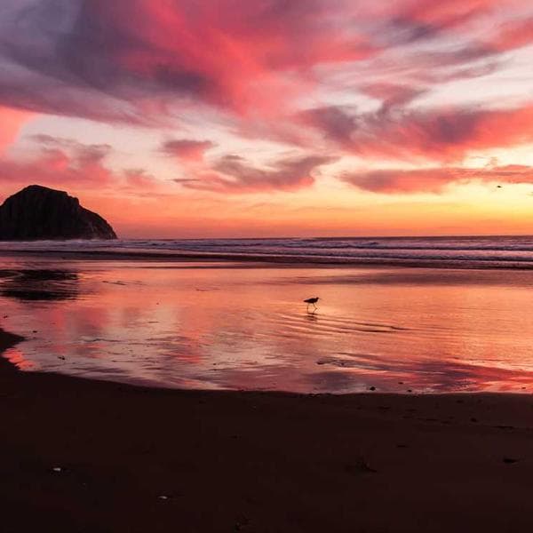 Free People Sweater Dress - Image 3