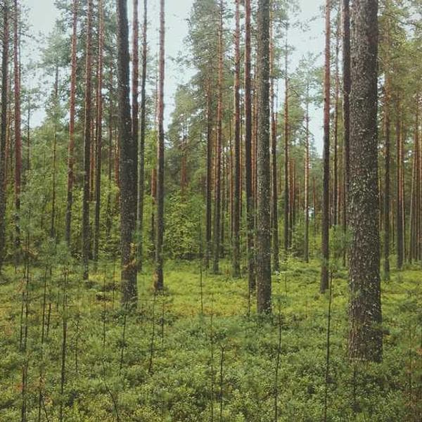 Madewell Transport Tote - Image 2