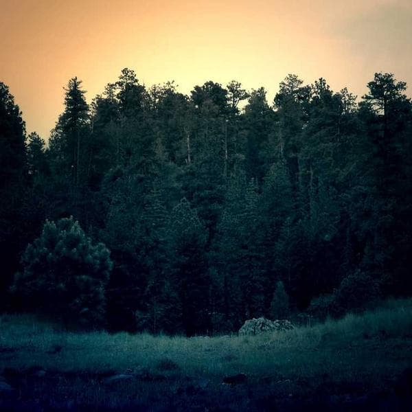 Vintage Nike Windbreaker - Image 2