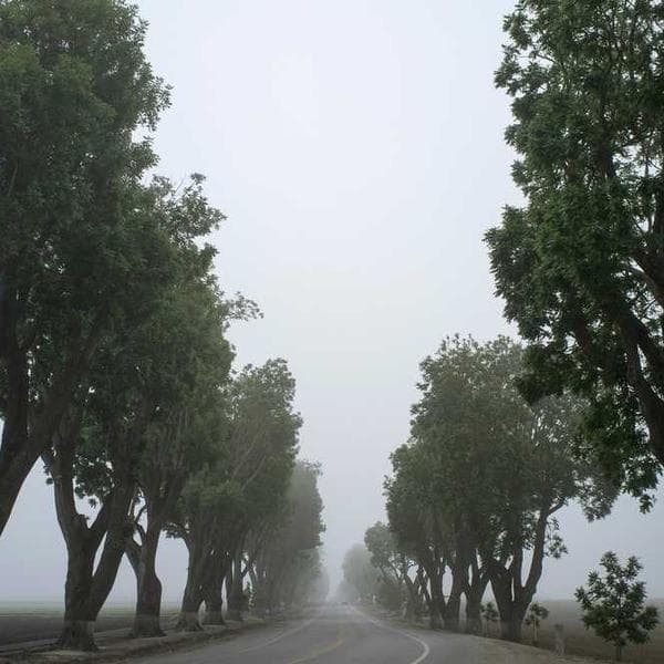 Vintage Band Tee - Nirvana - Image 4